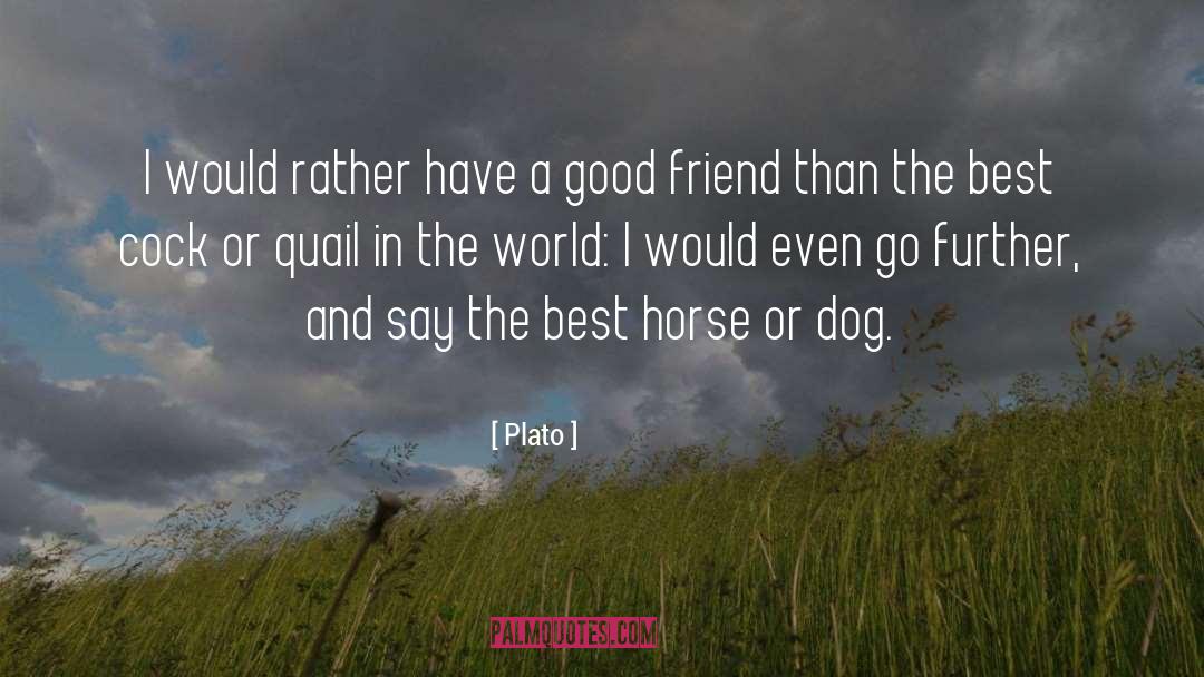 Quail quotes by Plato