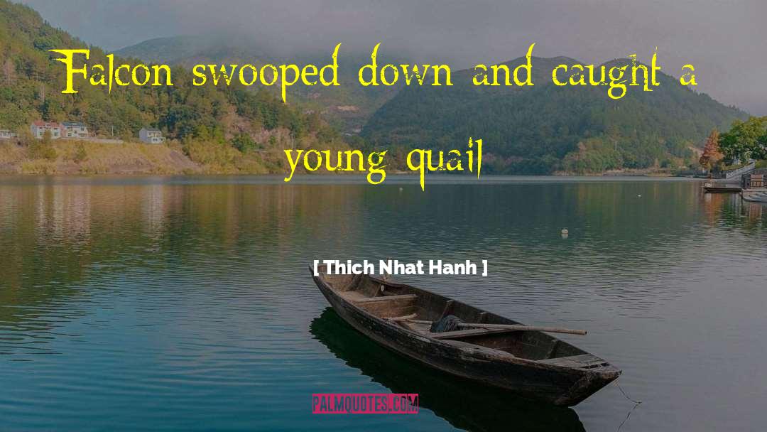 Quail quotes by Thich Nhat Hanh