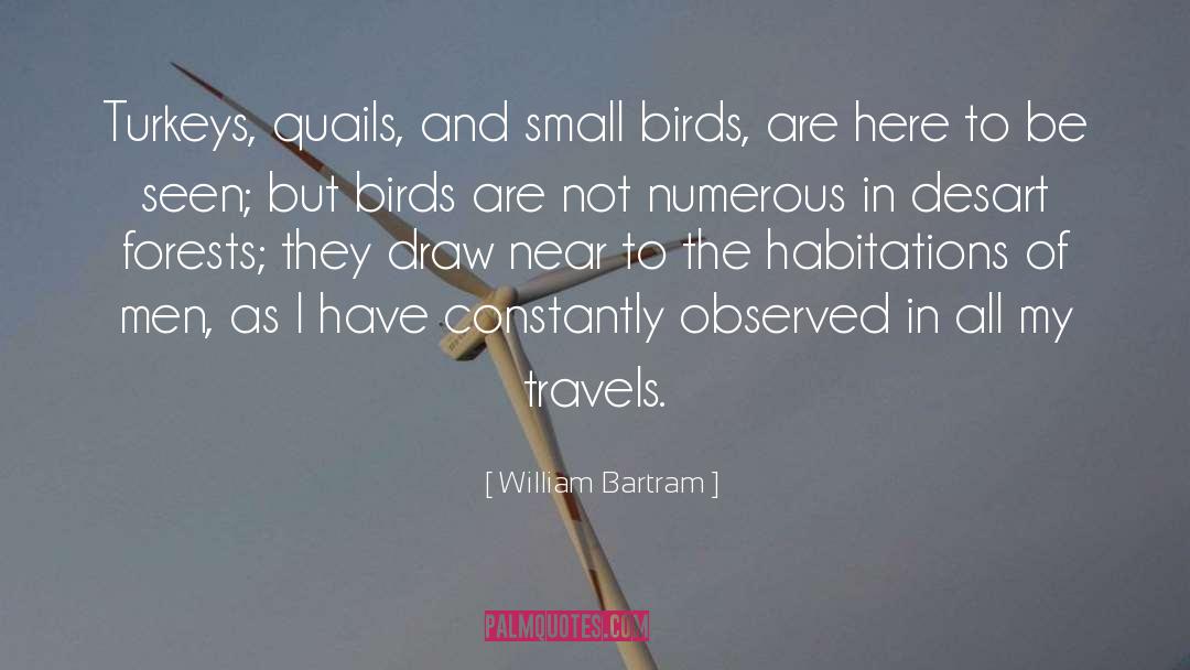 Quails quotes by William Bartram
