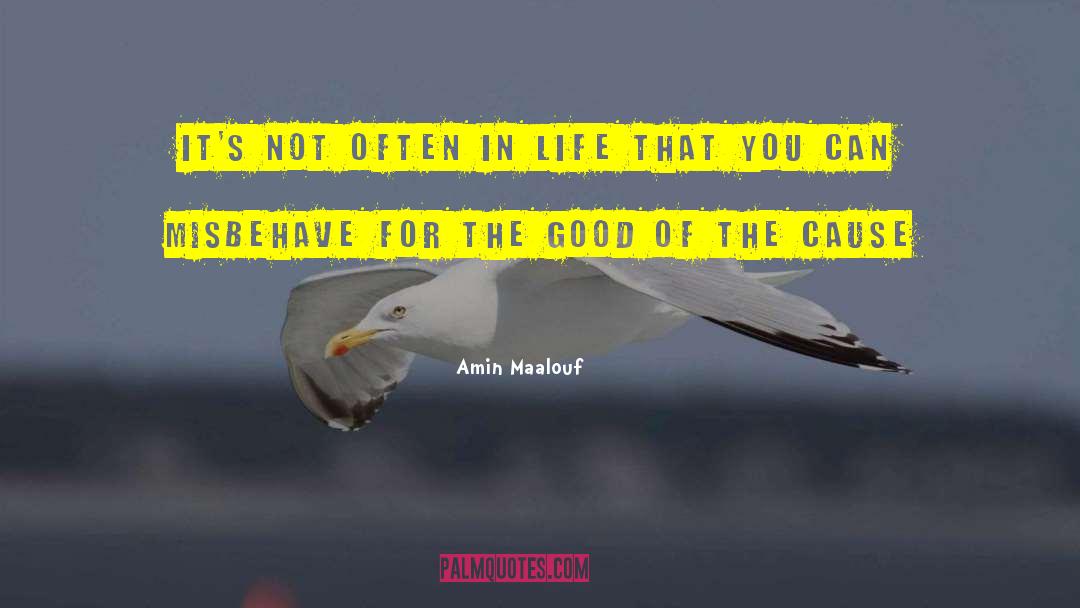 Qualities Of Life quotes by Amin Maalouf