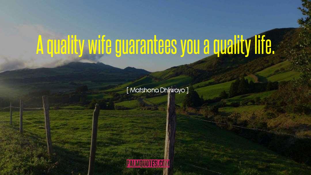 Quality Life quotes by Matshona Dhliwayo