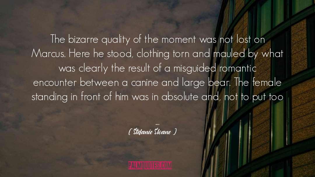 Quality Vs Quantity quotes by Stefanie Sloane