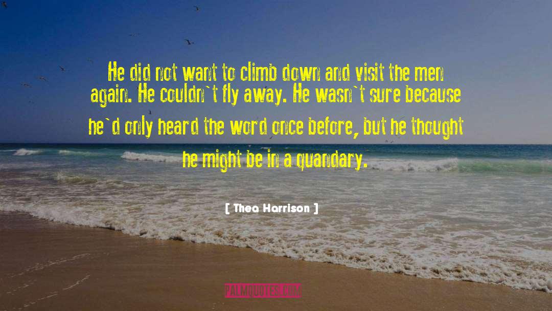 Quandary quotes by Thea Harrison