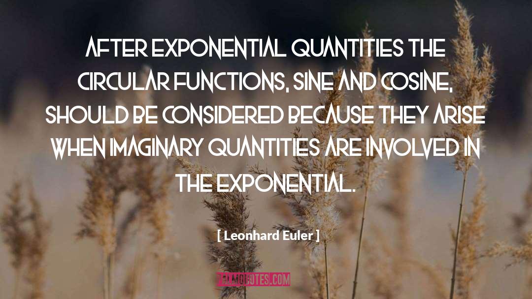 Quantities quotes by Leonhard Euler