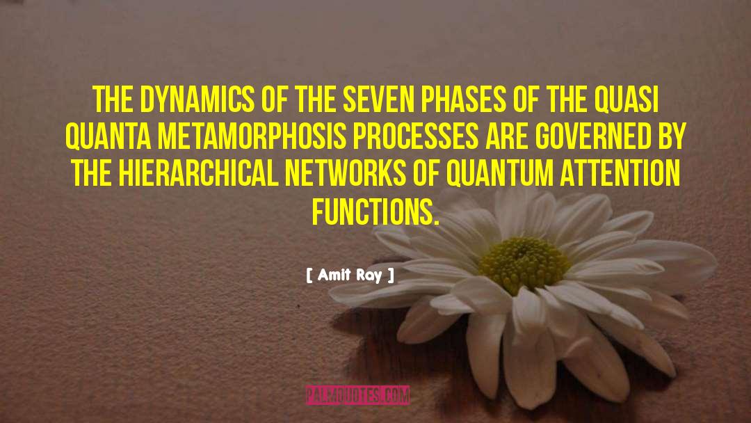 Quantum Attention Functions quotes by Amit Ray