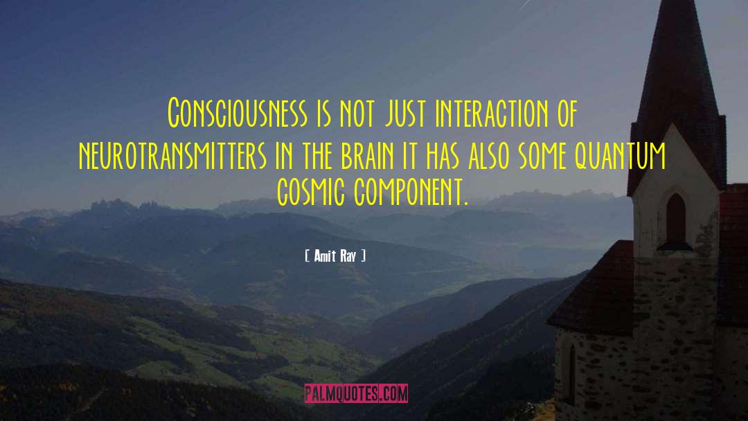 Quantum Brain quotes by Amit Ray