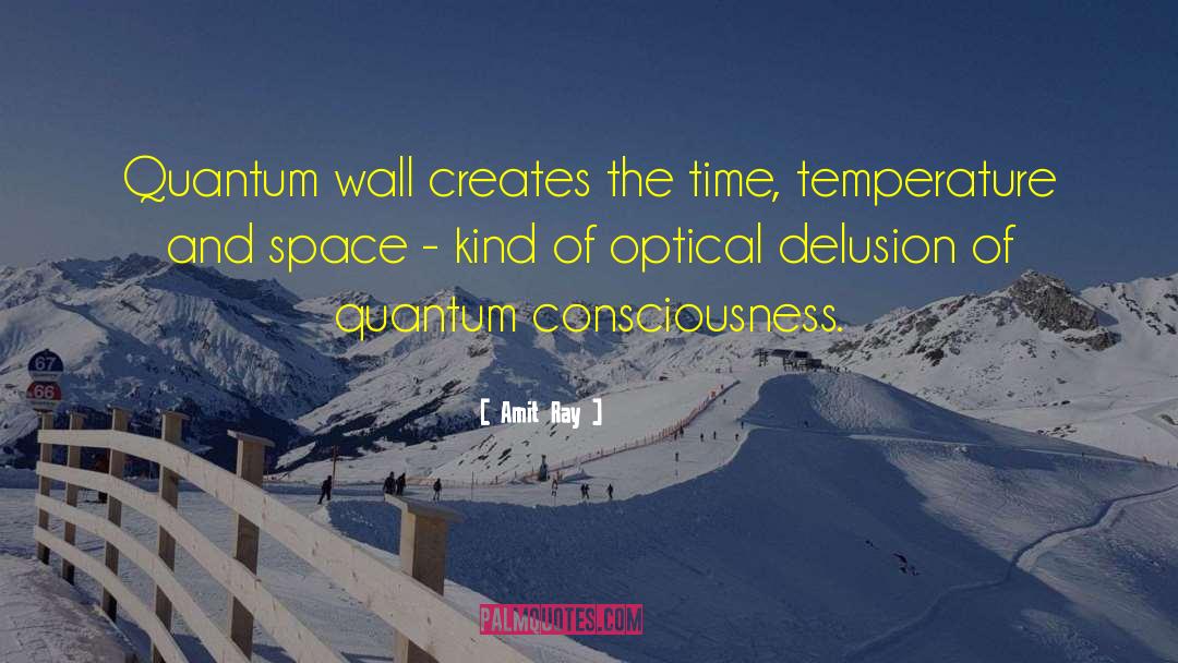 Quantum Cognition quotes by Amit Ray