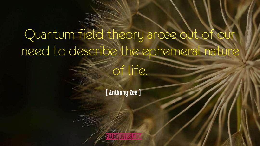 Quantum Computing quotes by Anthony Zee