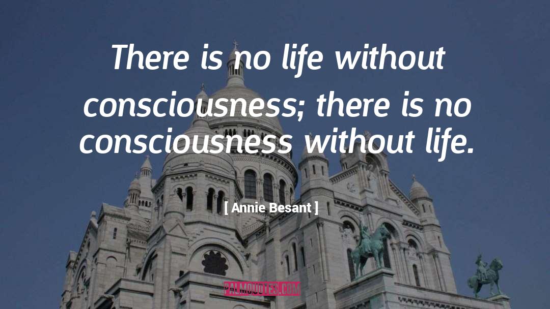 Quantum Consciousness quotes by Annie Besant