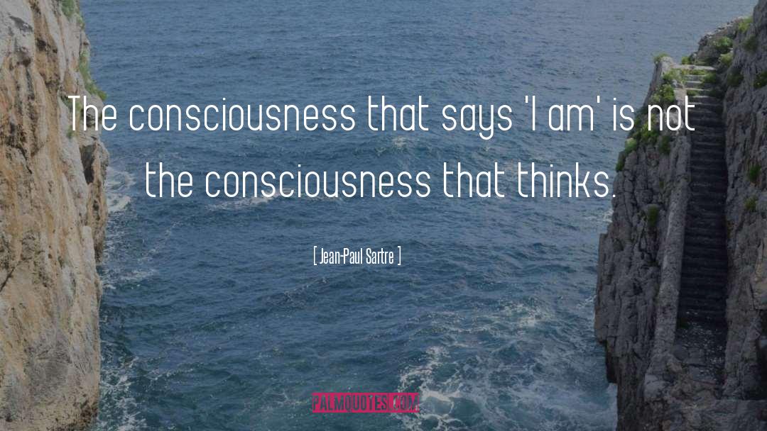 Quantum Consciousness quotes by Jean-Paul Sartre