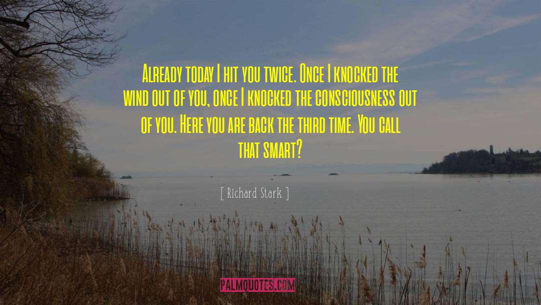 Quantum Consciousness quotes by Richard Stark