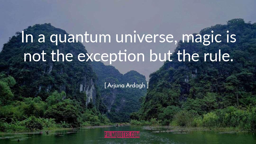 Quantum Entanglement quotes by Arjuna Ardagh