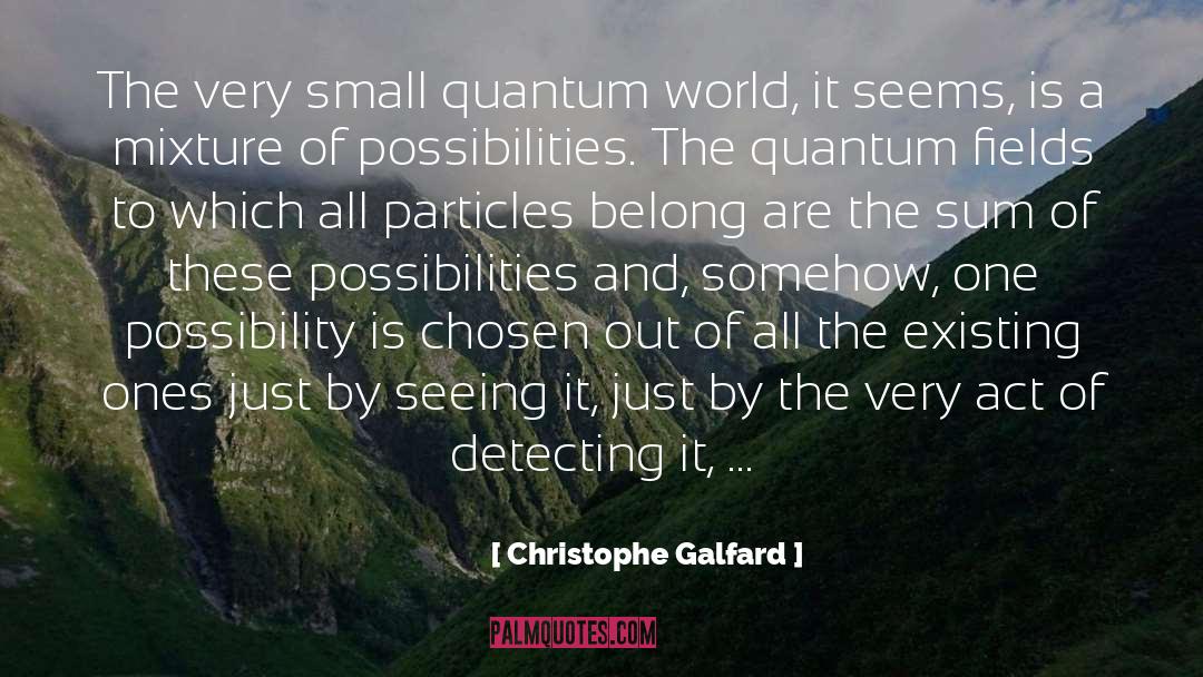 Quantum Fields quotes by Christophe Galfard