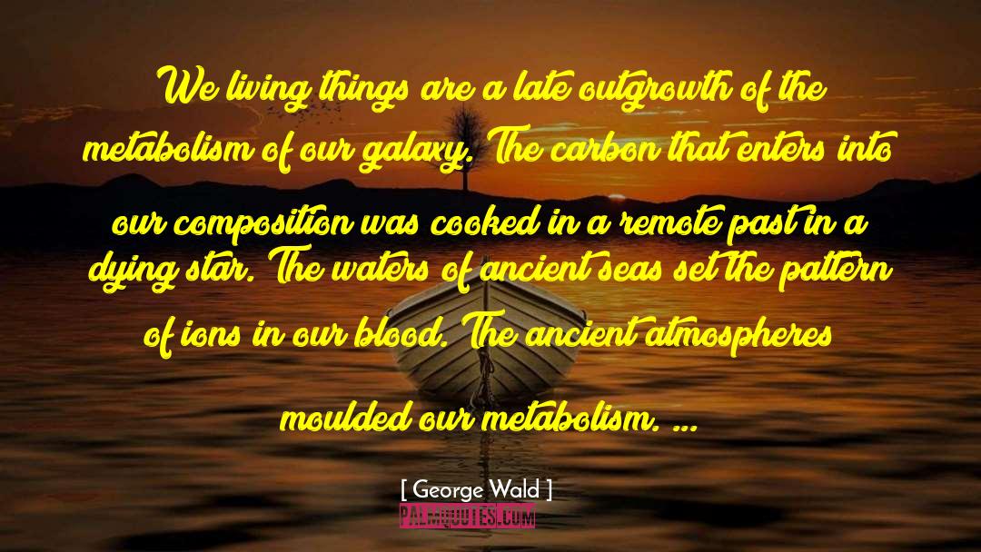 Quantum Metabolism quotes by George Wald