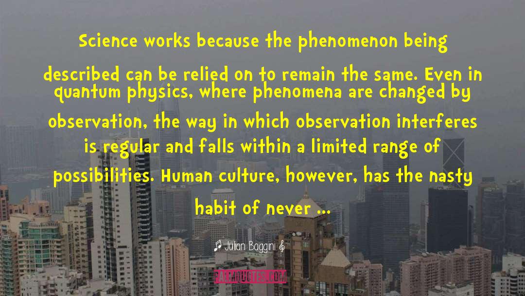 Quantum Physics quotes by Julian Baggini