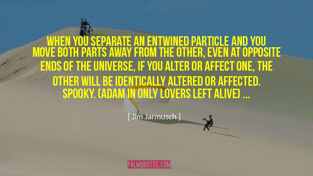 Quantum Quasi Particles quotes by Jim Jarmusch