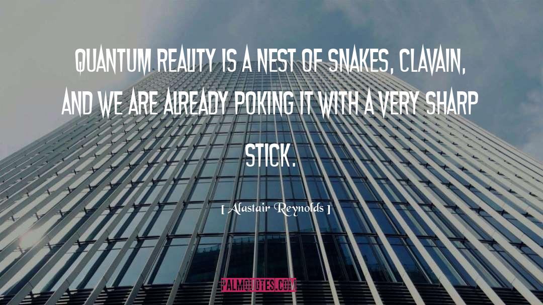 Quantum Reality quotes by Alastair Reynolds