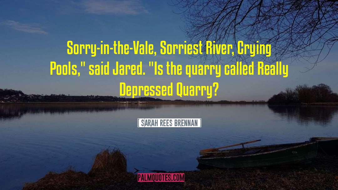Quarry quotes by Sarah Rees Brennan