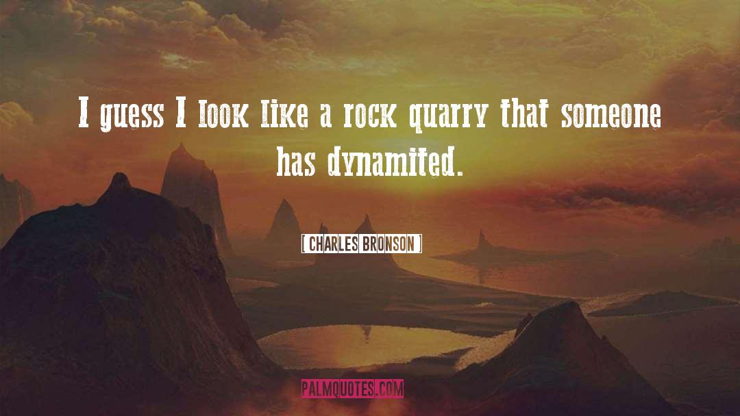 Quarry quotes by Charles Bronson