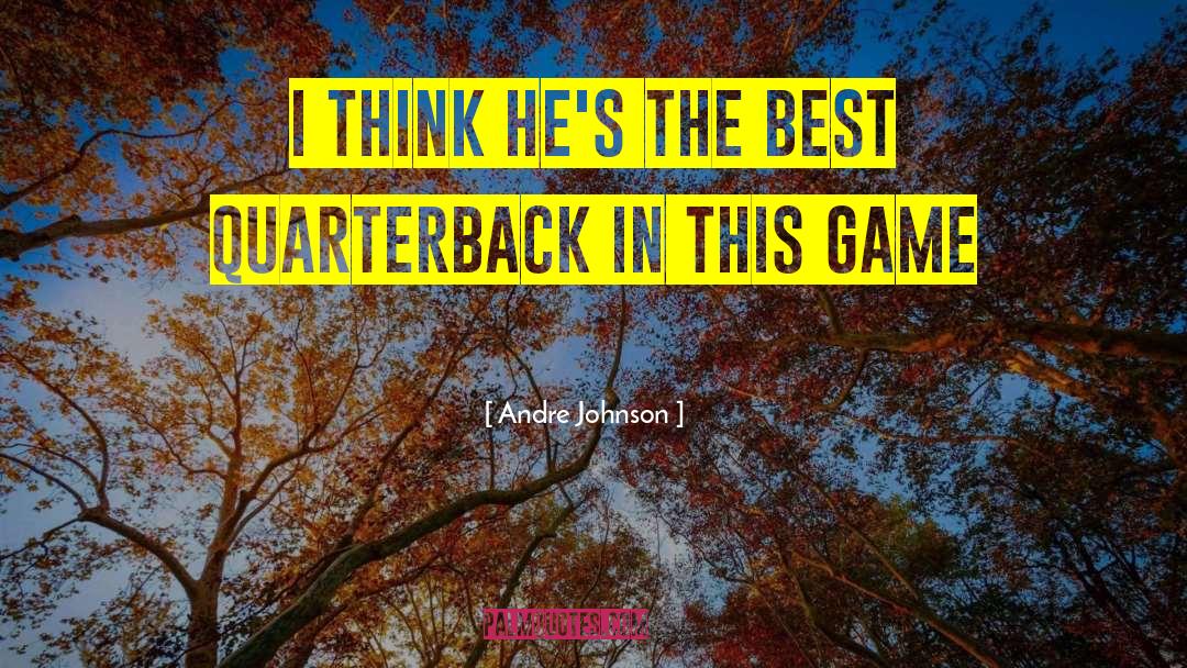 Quarterback quotes by Andre Johnson