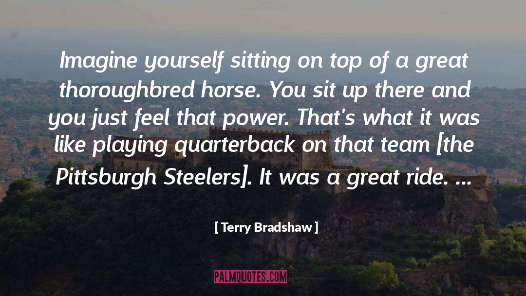 Quarterback quotes by Terry Bradshaw
