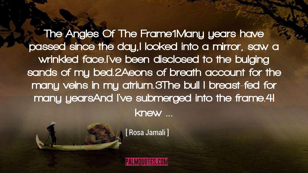 Quatrain quotes by Rosa Jamali