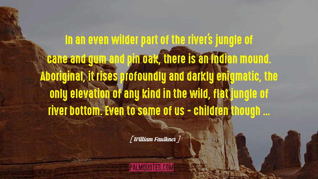 Quechuans Indian quotes by William Faulkner