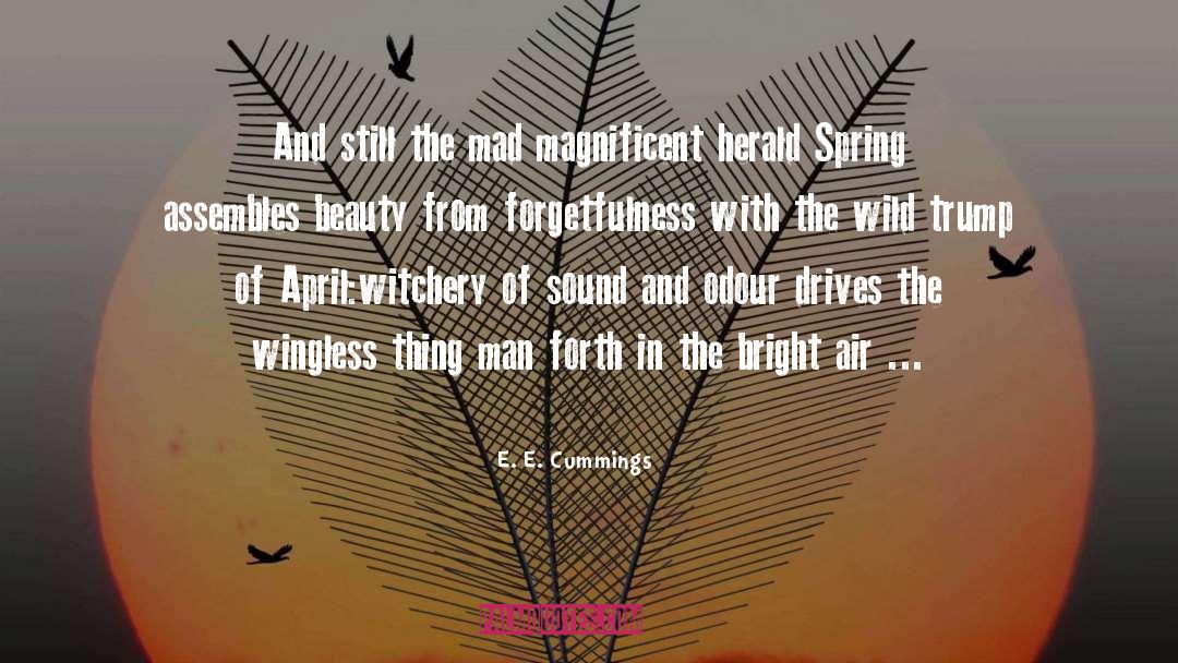 Queen Of Beauty quotes by E. E. Cummings