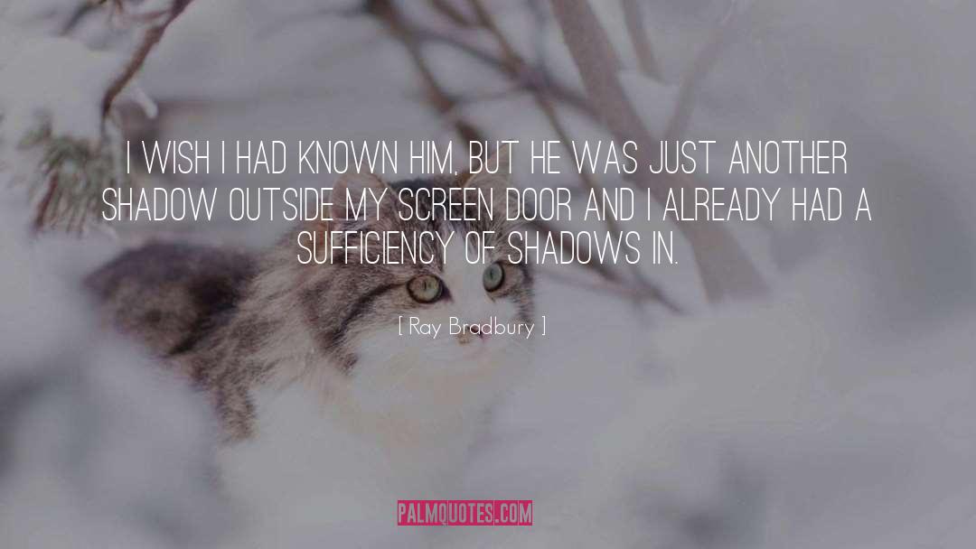 Queen Of Shadows quotes by Ray Bradbury