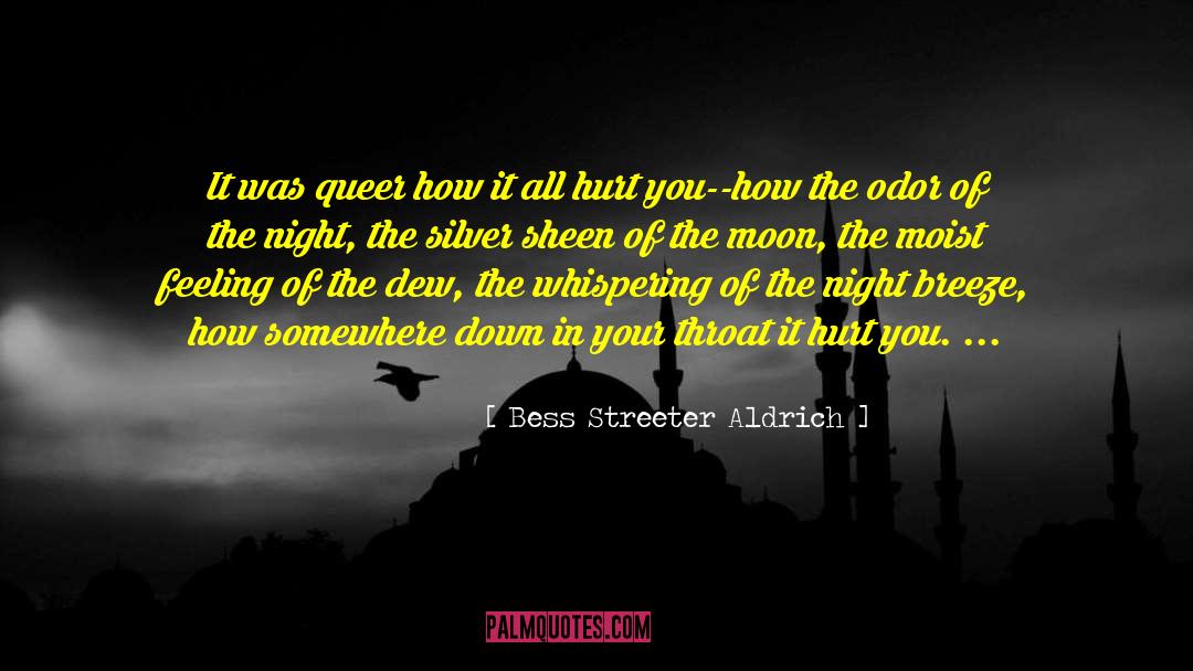 Queer Characters quotes by Bess Streeter Aldrich