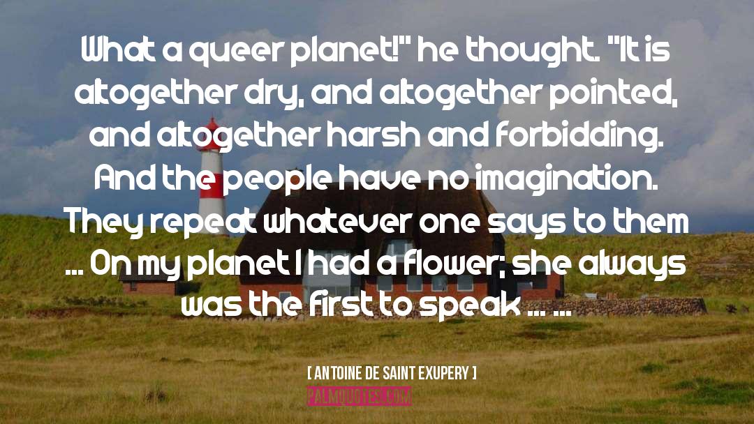 Queer Spectrum quotes by Antoine De Saint Exupery