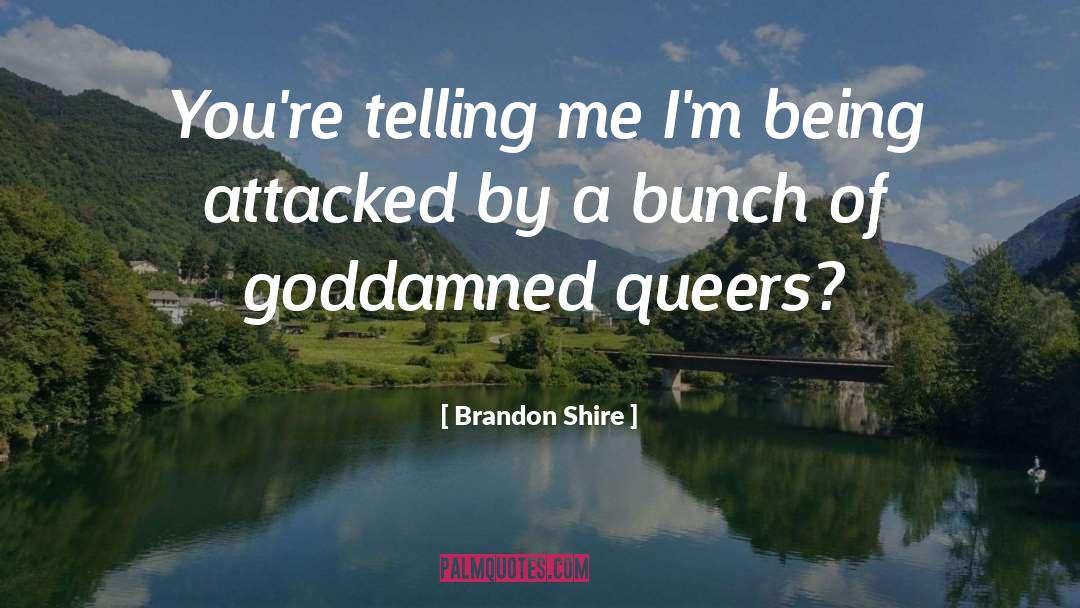 Queers quotes by Brandon Shire