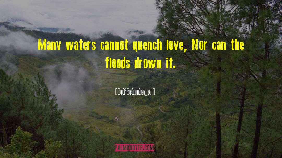Quench quotes by Rolf Schonberger