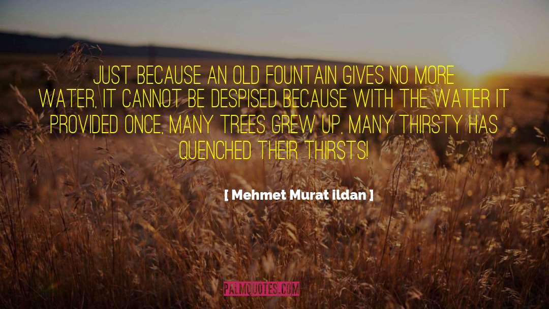 Quenched quotes by Mehmet Murat Ildan