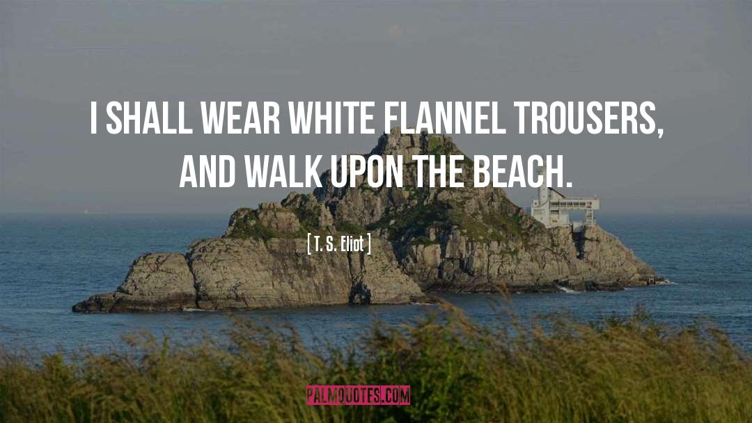 Quente Beach quotes by T. S. Eliot
