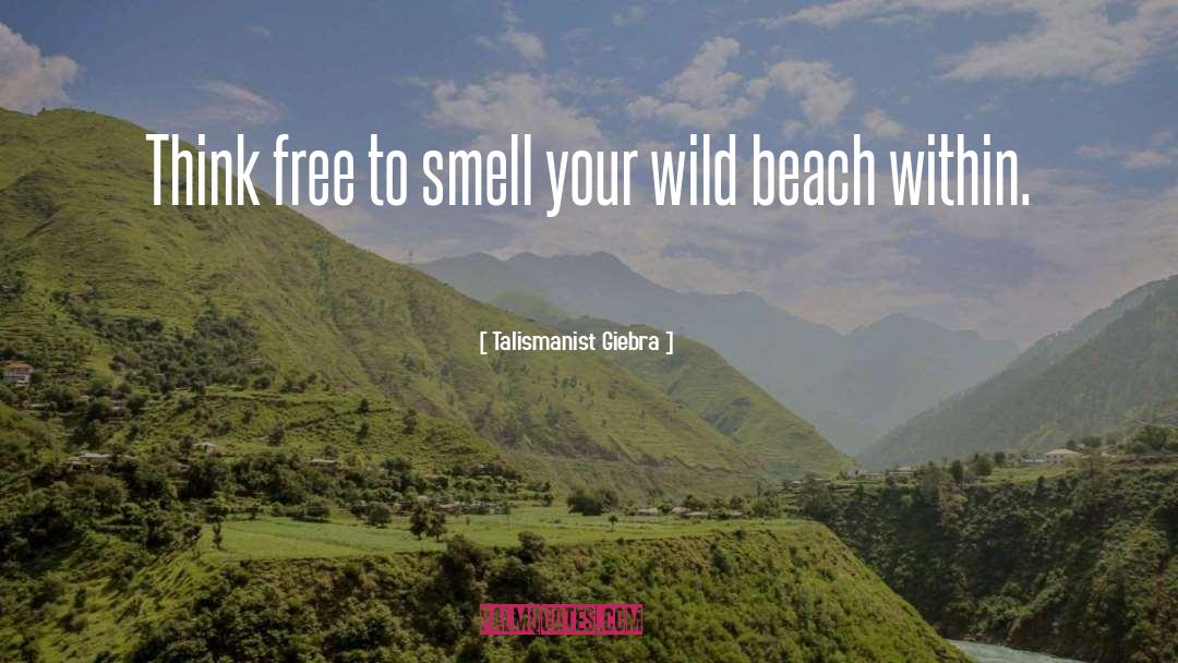 Quente Beach quotes by Talismanist Giebra