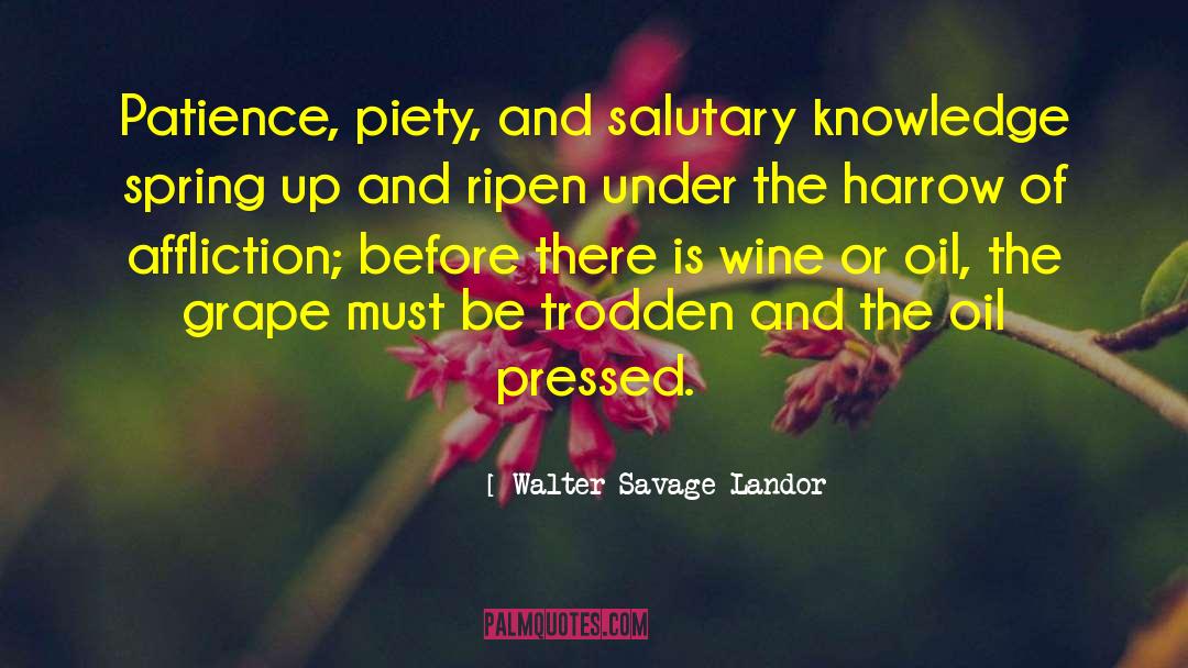 Querrey And Harrow quotes by Walter Savage Landor