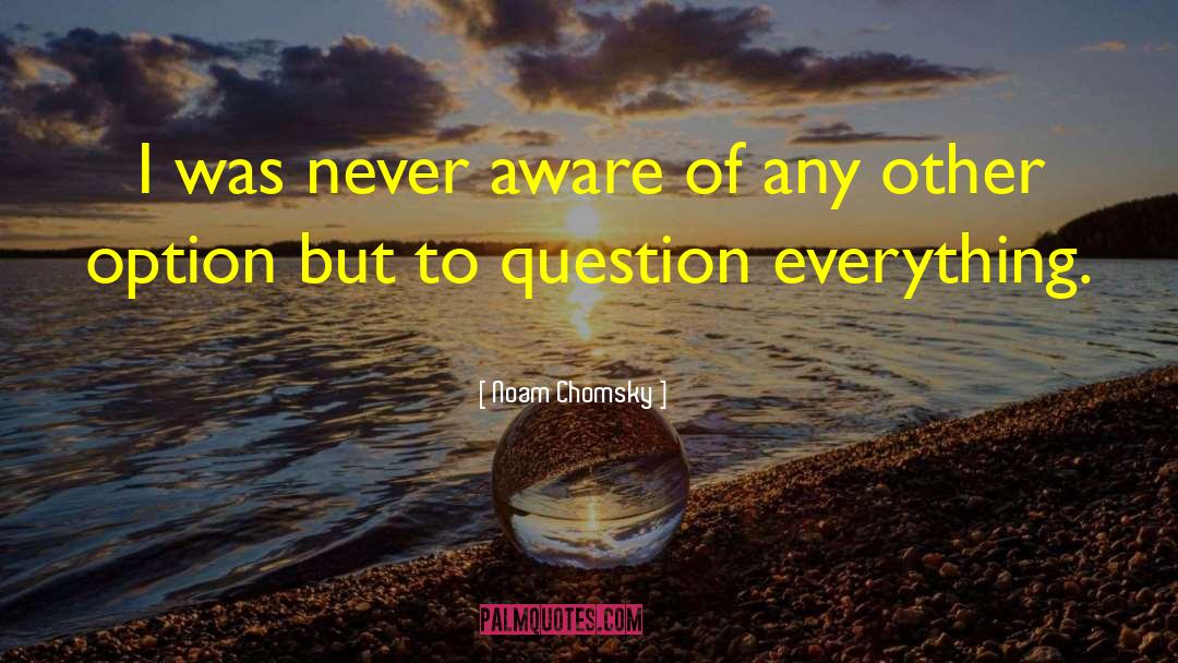 Question Everything quotes by Noam Chomsky