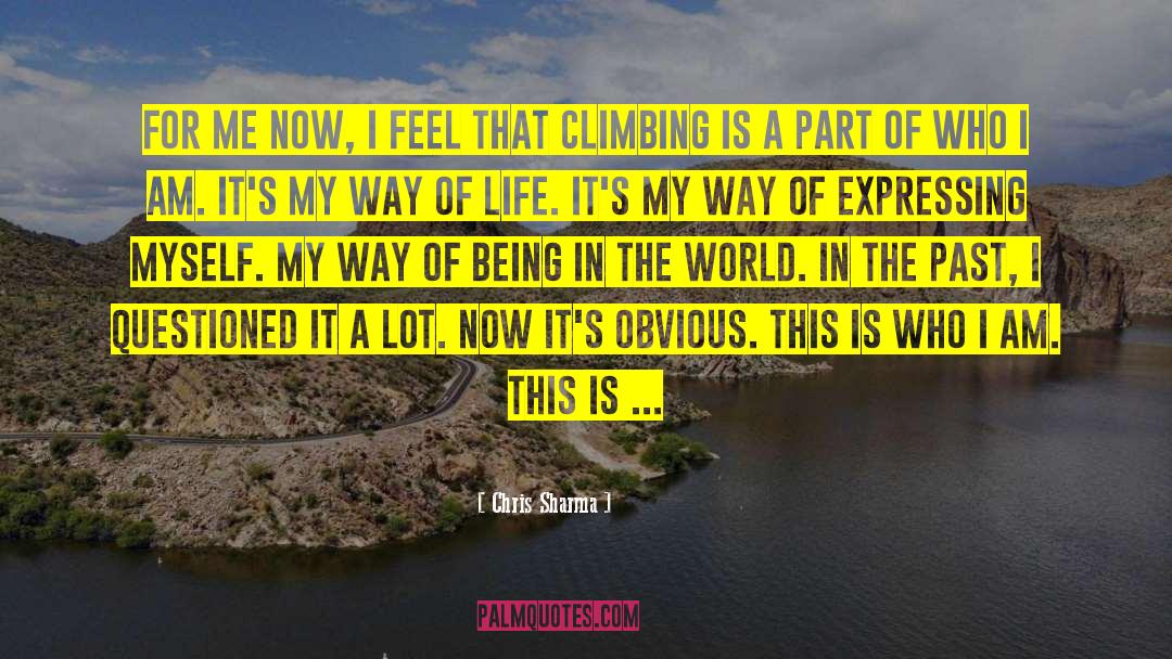 Questioned quotes by Chris Sharma