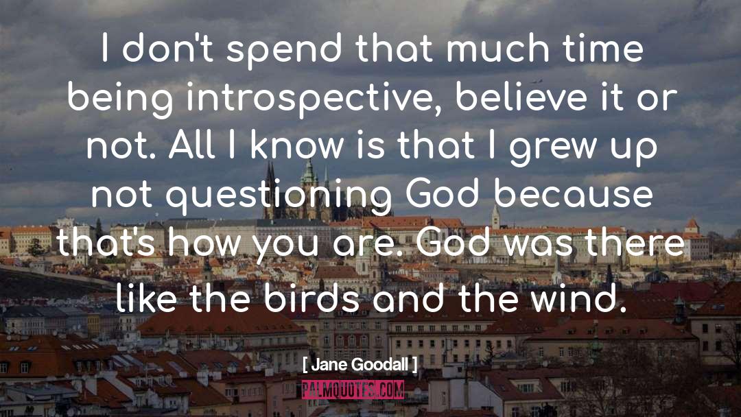 Questioning God quotes by Jane Goodall