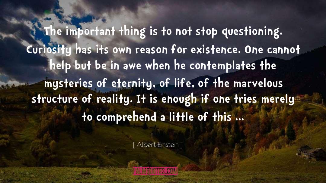 Questioning quotes by Albert Einstein