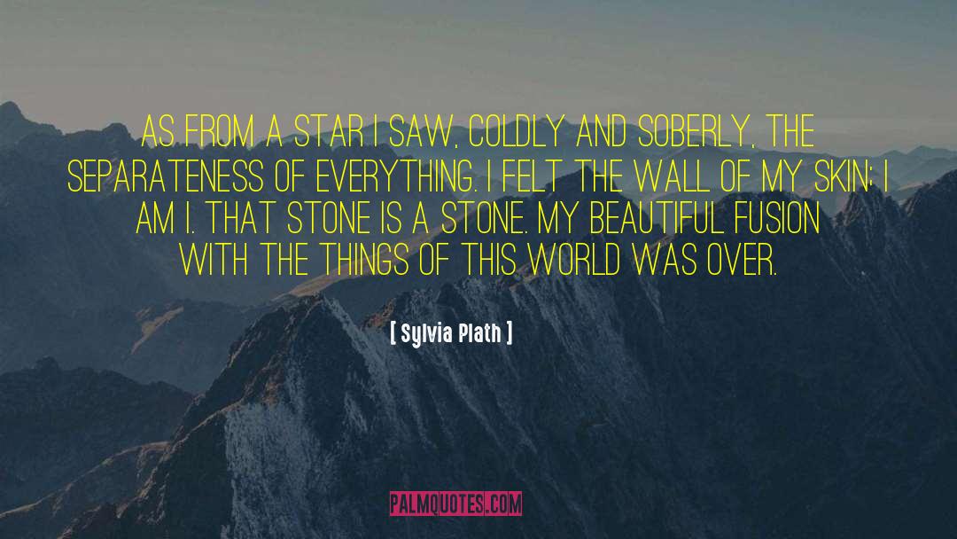Questioning Things quotes by Sylvia Plath