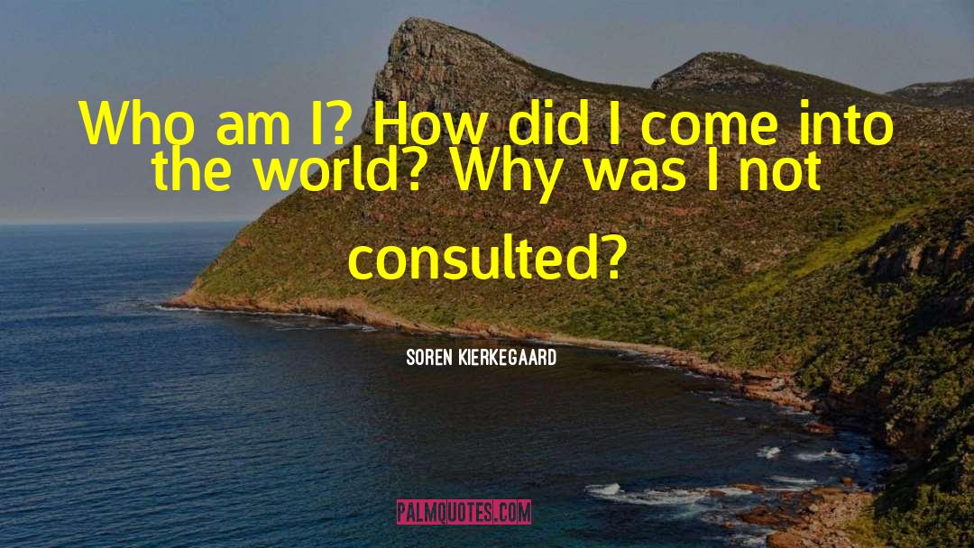 Questions And Answers quotes by Soren Kierkegaard