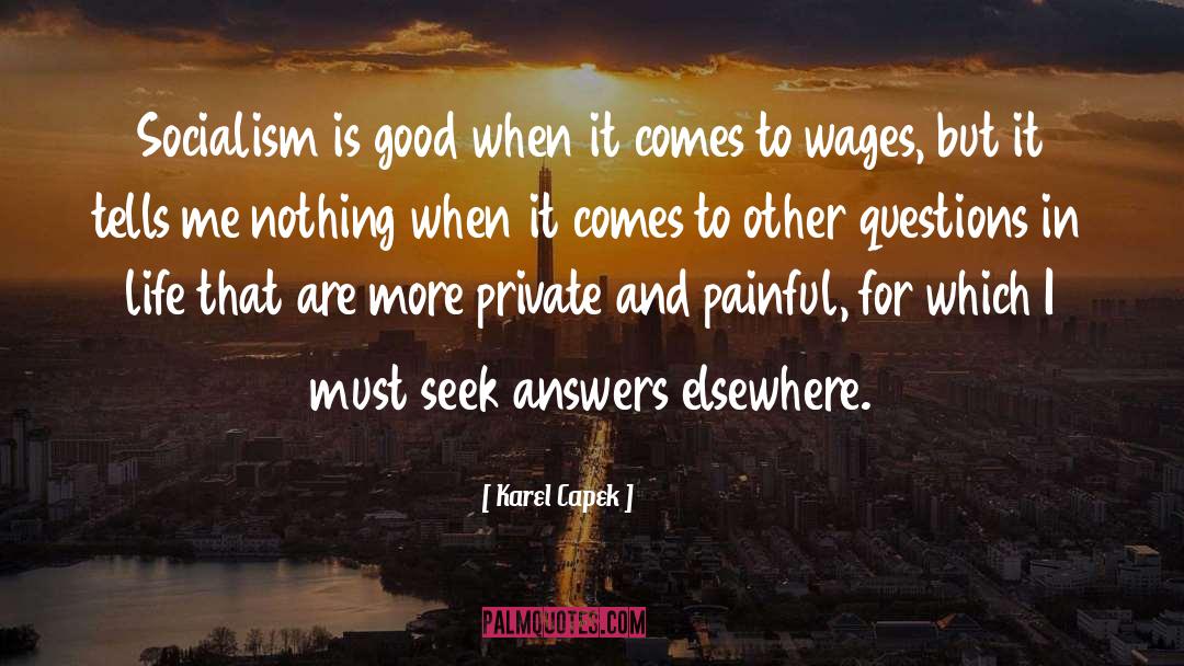 Questions In Life quotes by Karel Capek