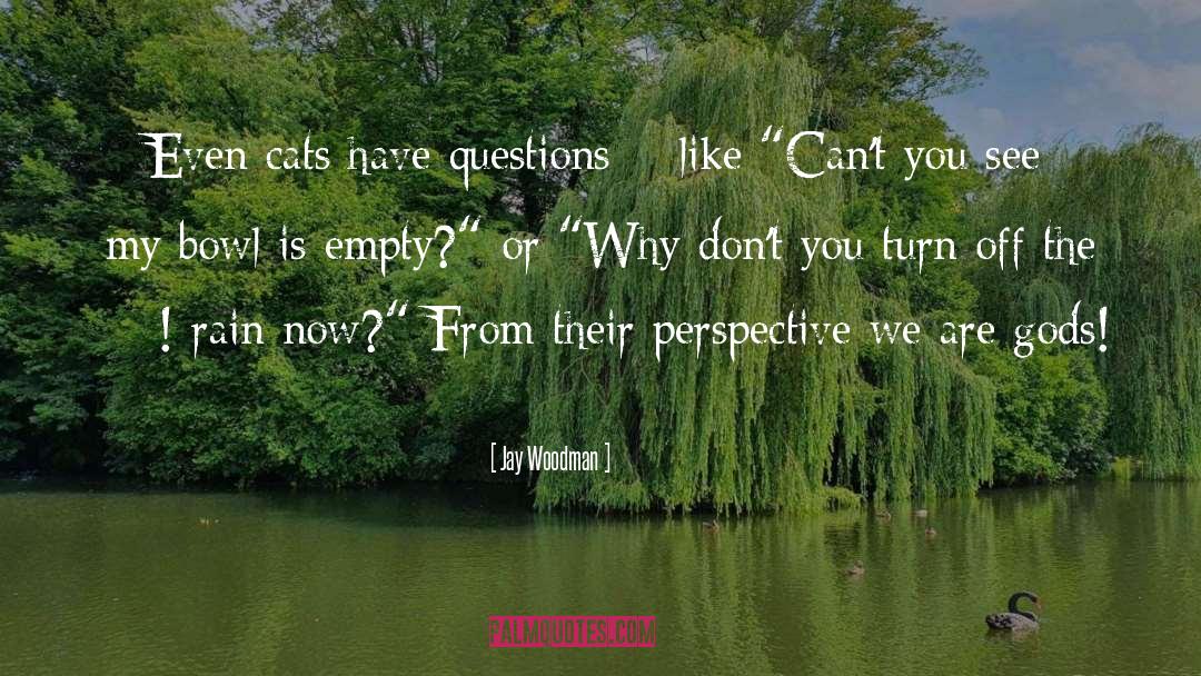 Questions In Life quotes by Jay Woodman