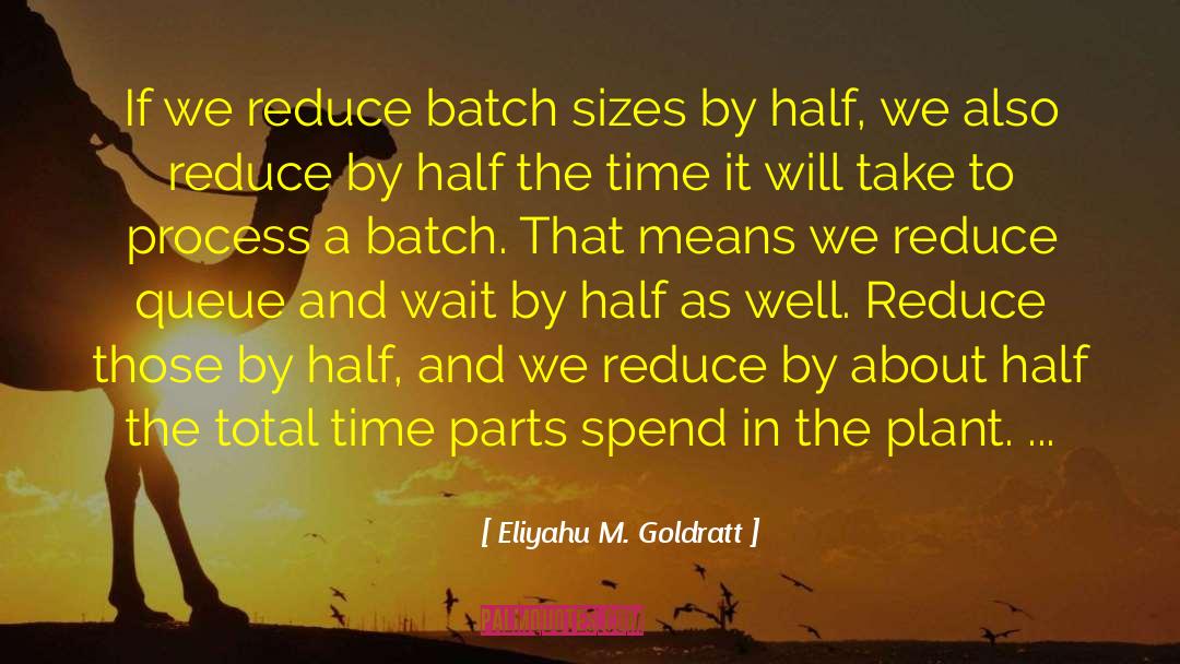 Queue quotes by Eliyahu M. Goldratt