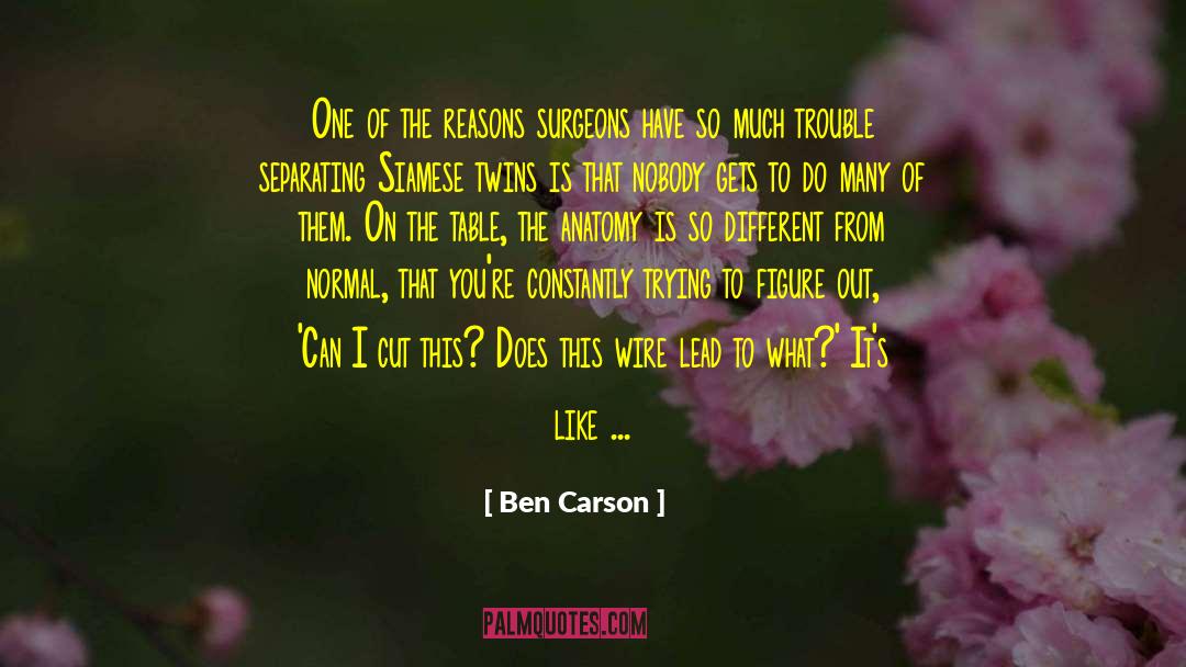 Quick Ben quotes by Ben Carson
