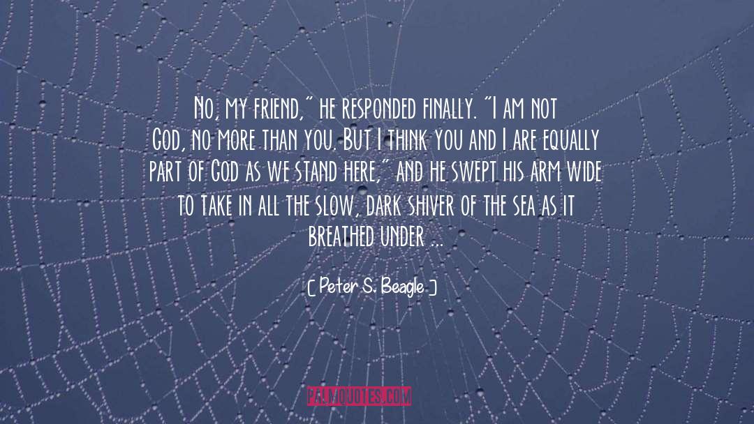 Quick Silver quotes by Peter S. Beagle