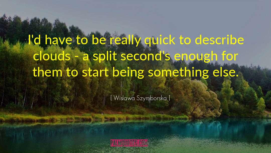 Quick Start Expert quotes by Wislawa Szymborska