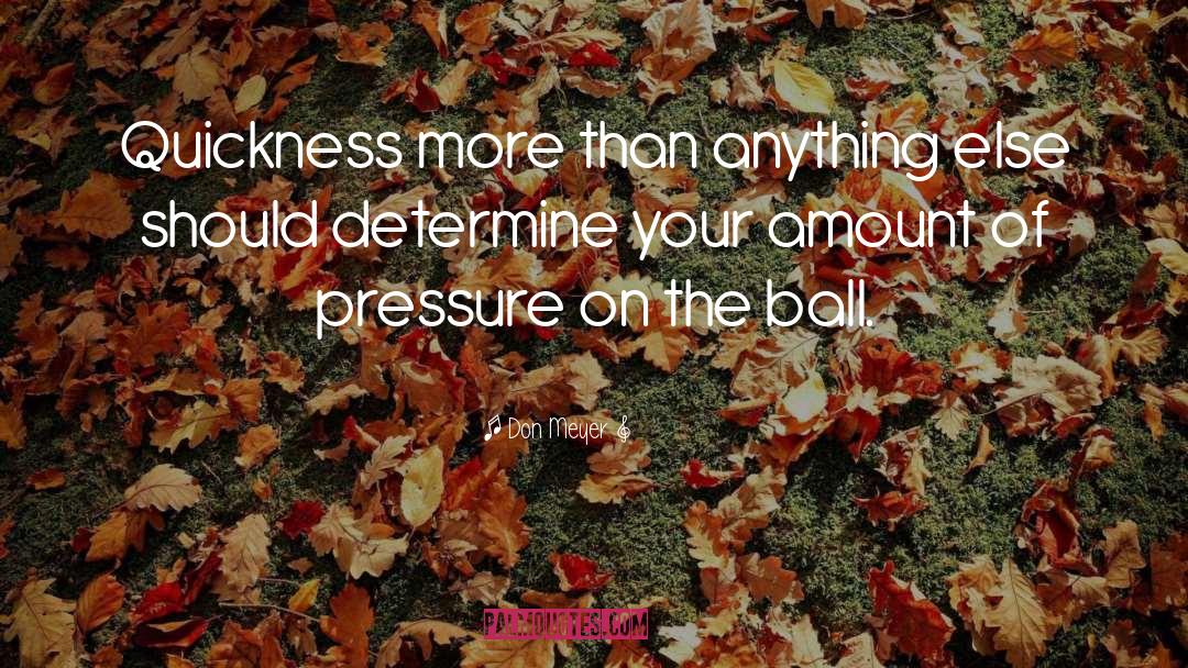 Quickness quotes by Don Meyer